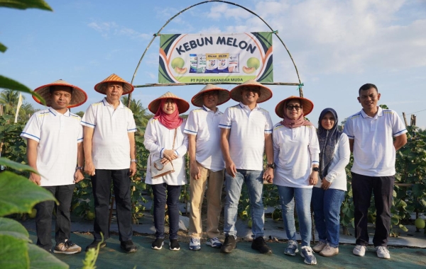 Budidaya Melon di Kebun Percobaan PIM: Kolaborasi Produktif untuk Hasil Berkualitas Tinggi
